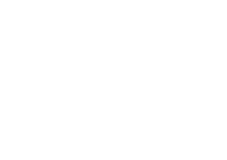 The Wellington at Willow Bend